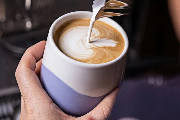 Difference between regular Coffee and Specialty Coffee