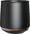 Double-Layered Cup with Gold Bottom TPA230-01B Black