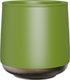 Double-Layered Cup with Gold Bottom TPA230-01B Green
