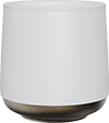 Double-Layered Cup with Gold Bottom TPA230-01B White