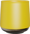 Double-Layered Cup with Gold Bottom TPA230-01B Yellow
